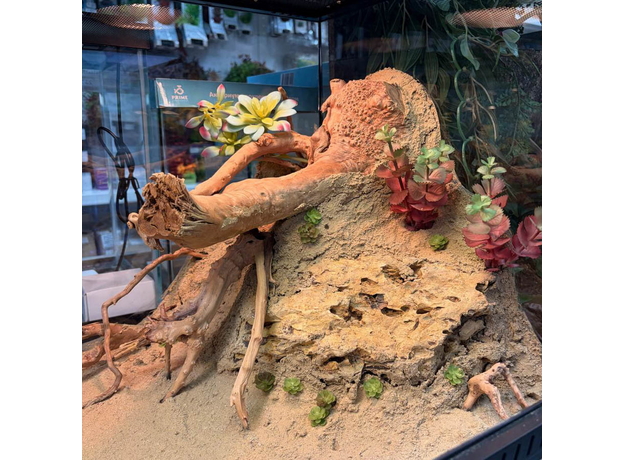 Террариумный комплект "Осколок Аризоны"